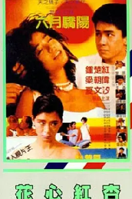国产婷婷高清在线观看免费